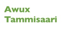 IS Automaalaus Oy vahinkotarkastus